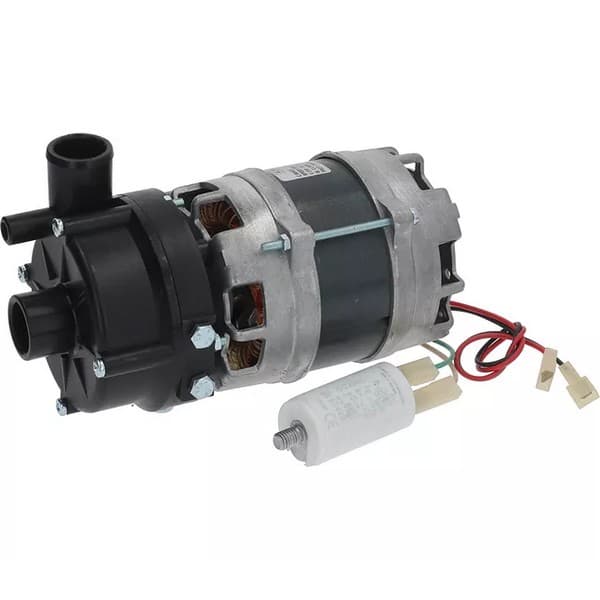 Électropompe AP 904SX 0,20HP 230V Lamber 0300252