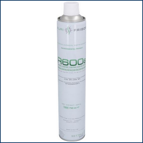 GAZ REFRIGERANT 400600/00420 EPMS   R600a 420g