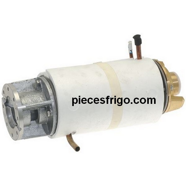 Évaporateur Simag 691793  79429802  79429802R  SP405-SPN405 pour machine à glace en flocon PIECE D'ORIGINE
