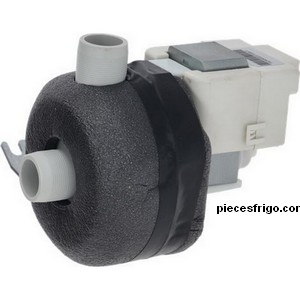 Electropompe Hanning DPS25-383N  40 W PIECE D'ORIGINE